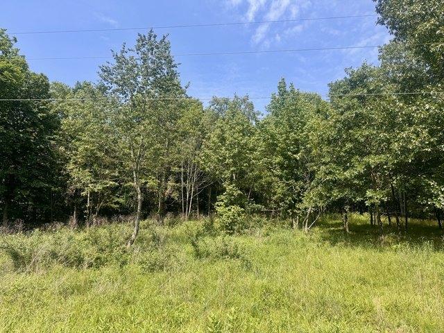 Land for sale in Goreville, Illinois
