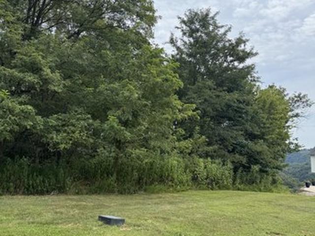 Land for sale in Tennessee