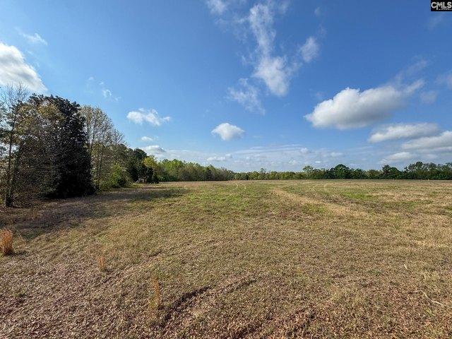 Land for sale in Batesburg, South Carolina