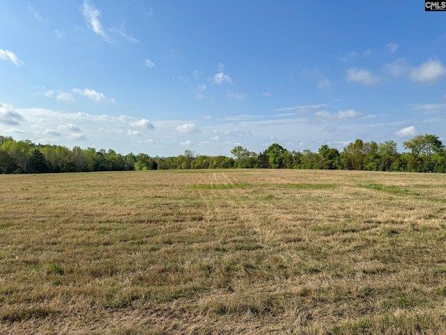 Land for sale in Batesburg, South Carolina