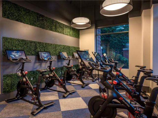 Apartment for rent in New Rochelle