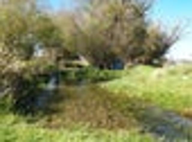 Land for sale in Fairlie, Canterbury