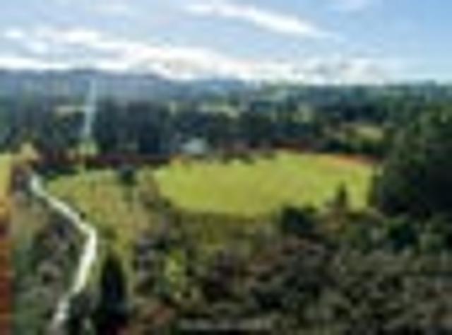Land for sale in Wellington