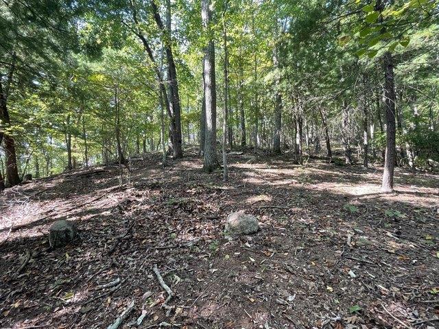 Land for sale in Virginia
