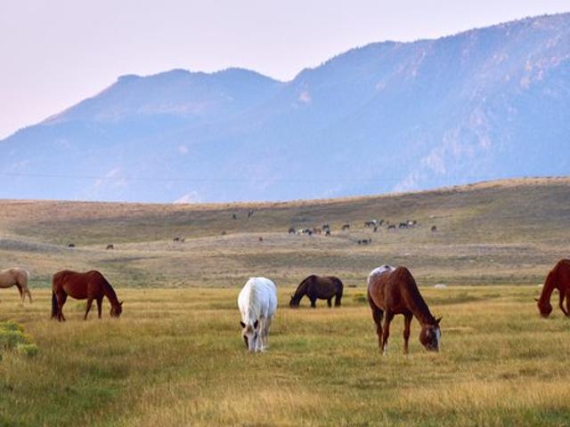 Land for sale in Wyoming