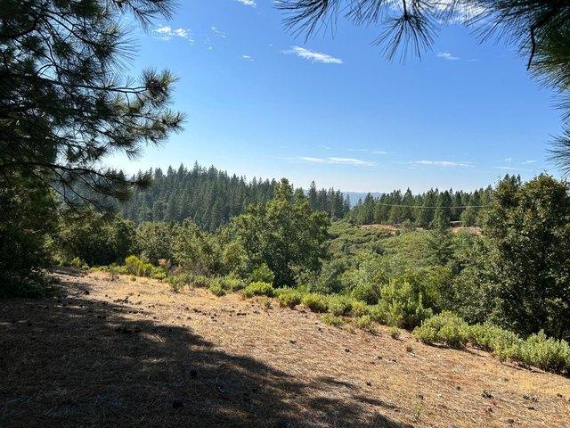 Land for sale in Murphys, California