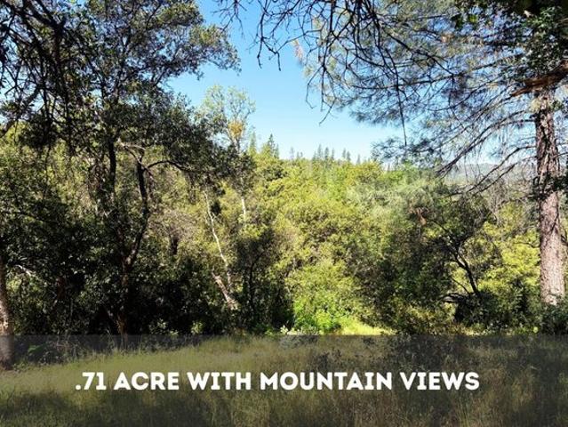 Land for sale in Sheep Ranch, California