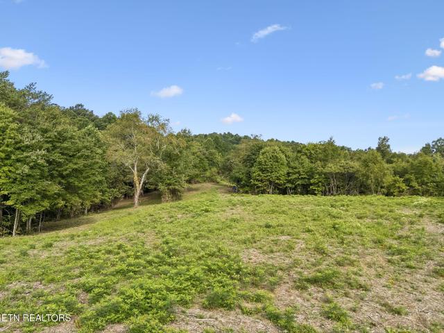 Land for sale in Tennessee