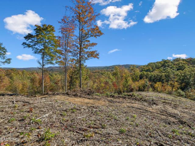 Land for sale in Tennessee
