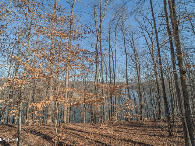 Land for sale in Tennessee
