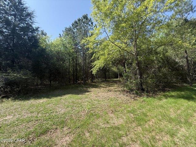 Land for sale in Marianna, Florida