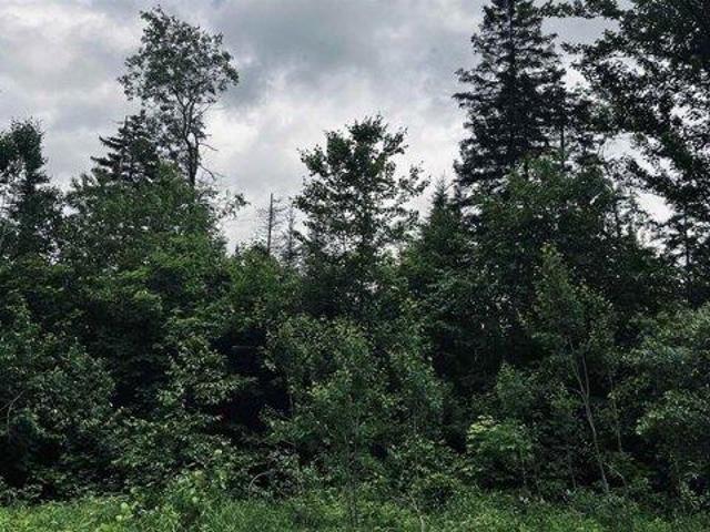 Land for sale in Sheffield, Caledonia County