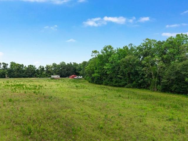 Land for sale in Johnsonville, South Carolina