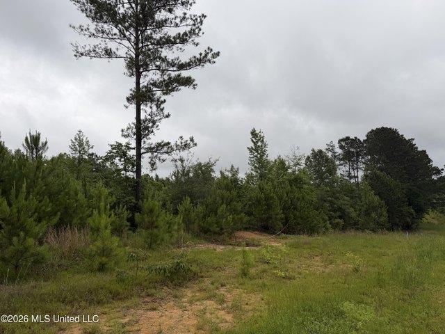 Land for sale in Summit, Pike County