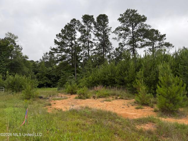 Land for sale in Summit, Mississippi