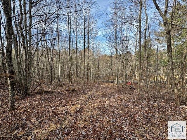 Land for sale in Meadows of Dan, Patrick County