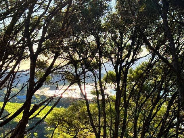 Land for sale in Great Barrier Island, Oroua County