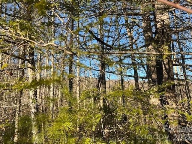 Land for sale in Haywood, North Carolina