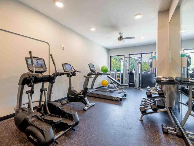 Apartment for rent in Carrboro, North Carolina