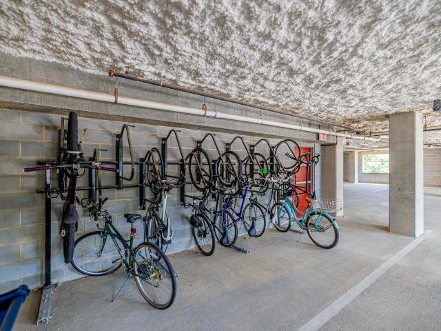 Apartment for rent in Carrboro, North Carolina
