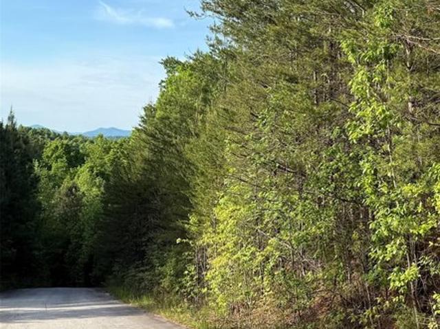 Land for sale in Rutherford, North Carolina