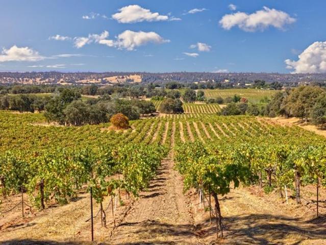Land for sale in Plymouth, California