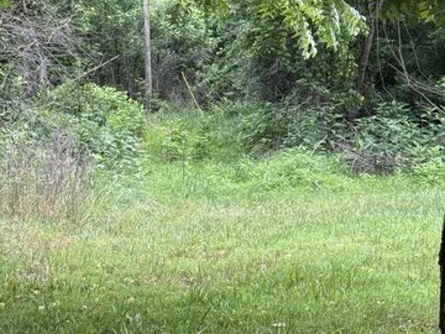 Land for sale in Virginia