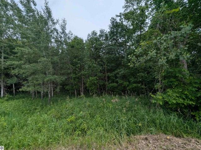 Land for sale in Turner, Michigan