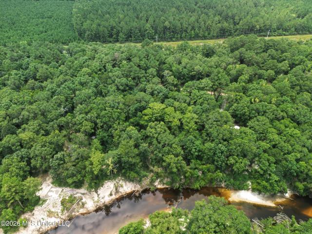 Land for sale in Wiggins, Mississippi