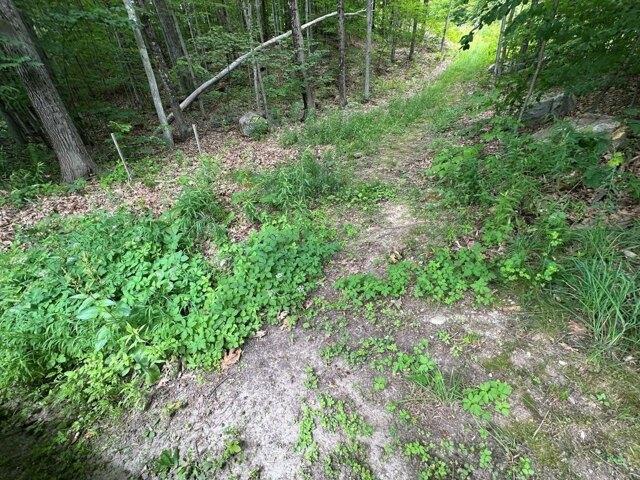 Land for sale in Rutland