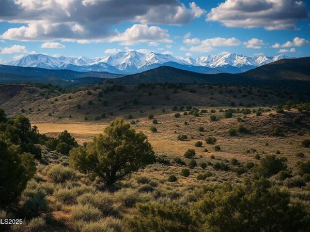 Land for sale in Reno