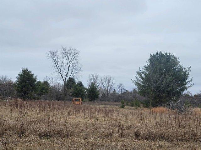 Land for sale in Oconto Falls, Wisconsin