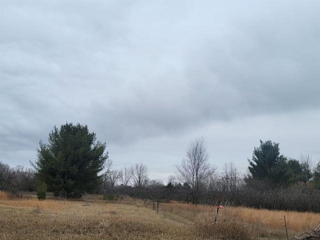 Land for sale in Oconto Falls, Wisconsin