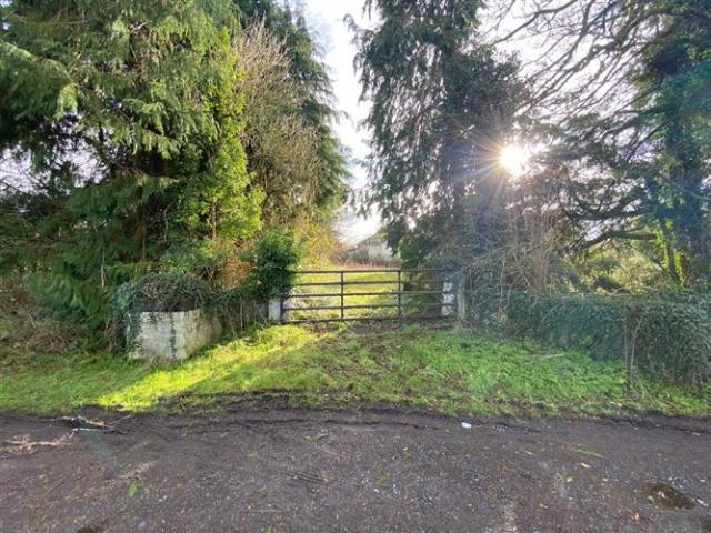 Bungalow for sale in Colbinstown, North Tipperary