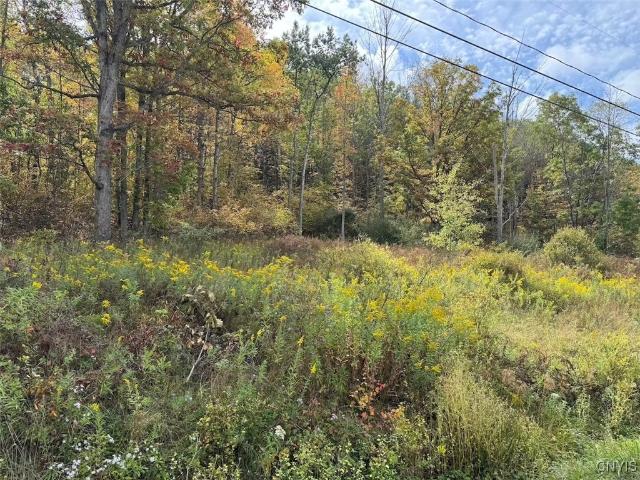 Land for sale in Hinsdale, New York
