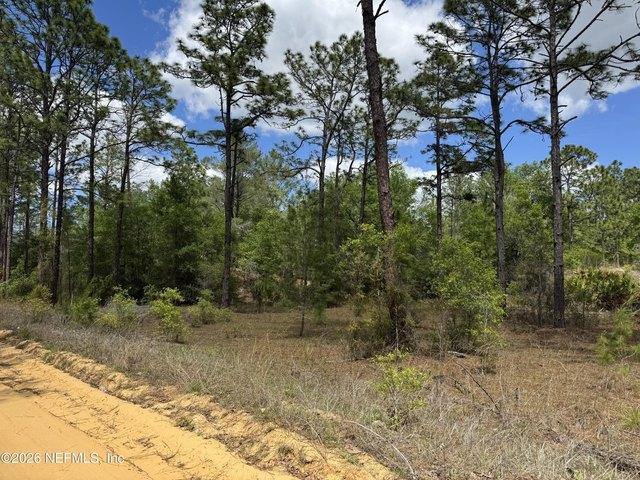 Land for sale in Interlachen, Putnam County