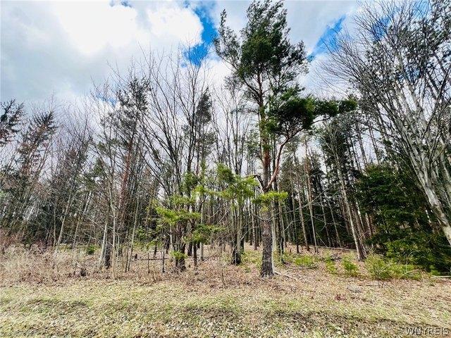 Land for sale in Boston, New York