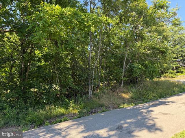 Land for sale in Berkeley Springs, West Virginia