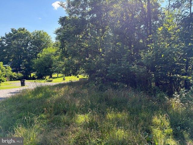 Land for sale in Berkeley Springs, West Virginia