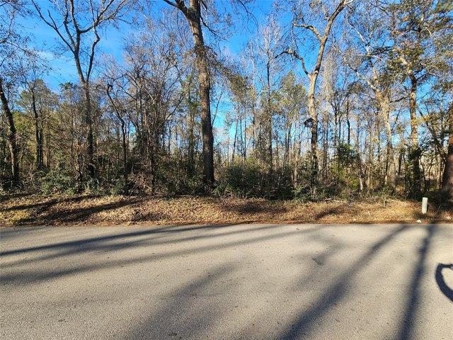 Land for sale in Shepherd, Texas