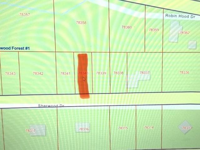 Land for sale in Shepherd, Texas