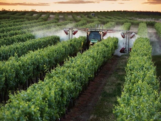 Cottage for sale in Loxton, South Australia