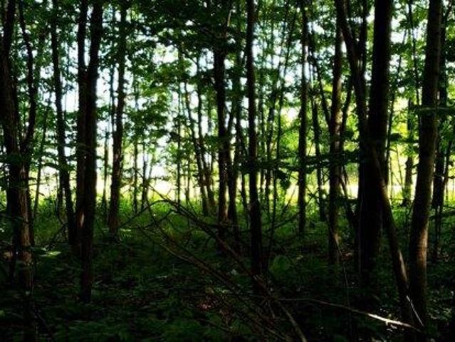 Land for sale in Sherwood