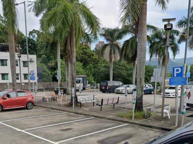 位於 香港, 提供 出租 的 村屋