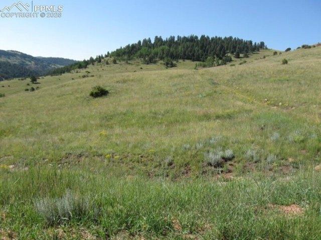 Land for sale in Teller, Colorado