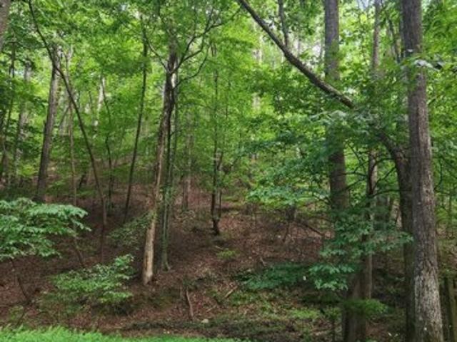 Land for sale in Ellijay Land for sale in Ellijay