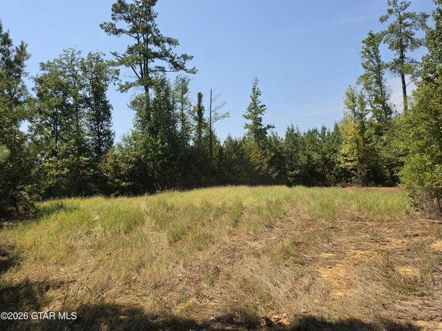 Land for sale in Duck Hill, Mississippi
