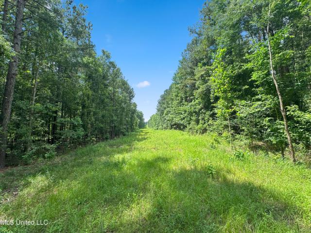 Property for sale in Pelahatchie, Mississippi