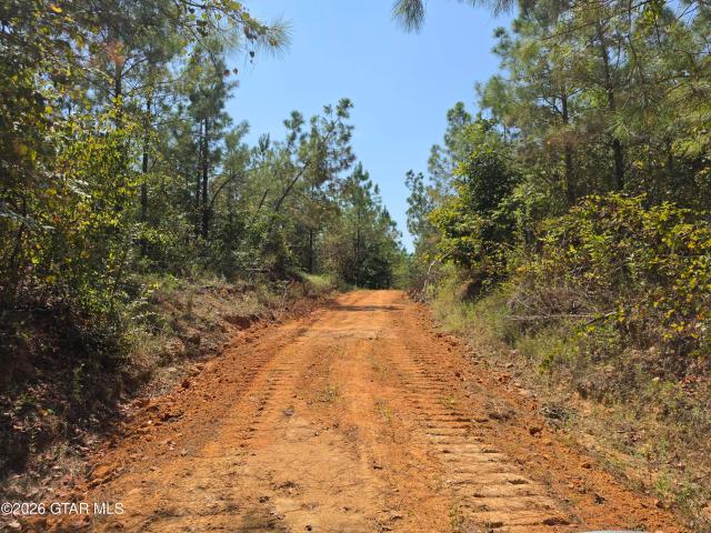Land for sale in Duck Hill, Mississippi