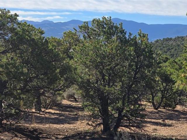 Land for sale in Fort Garland, Colorado